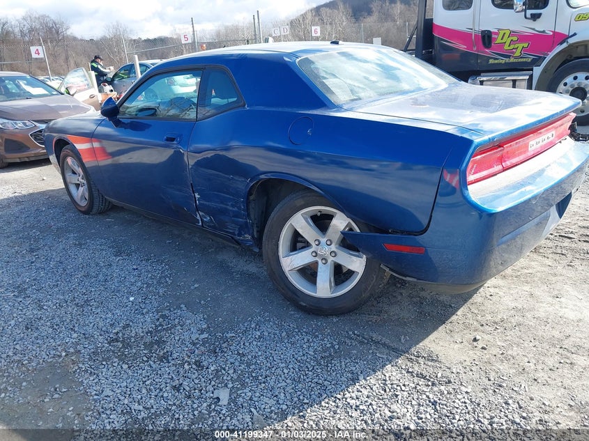 2010 DODGE CHALLENGER VIN: 2B3CJ4DV8AH319135