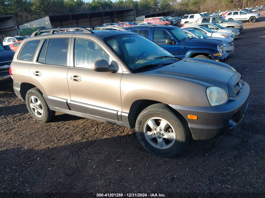 2006 HYUNDAI SANTA FE VIN: KM8SC13D76U046636