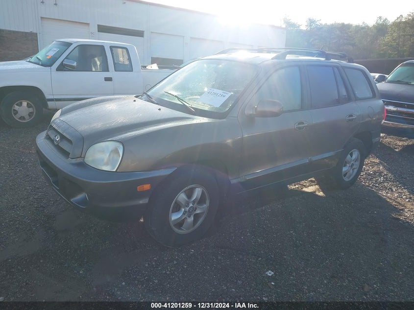 2006 HYUNDAI SANTA FE VIN: KM8SC13D76U046636