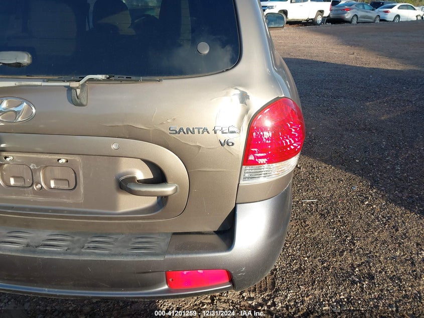 2006 HYUNDAI SANTA FE VIN: KM8SC13D76U046636