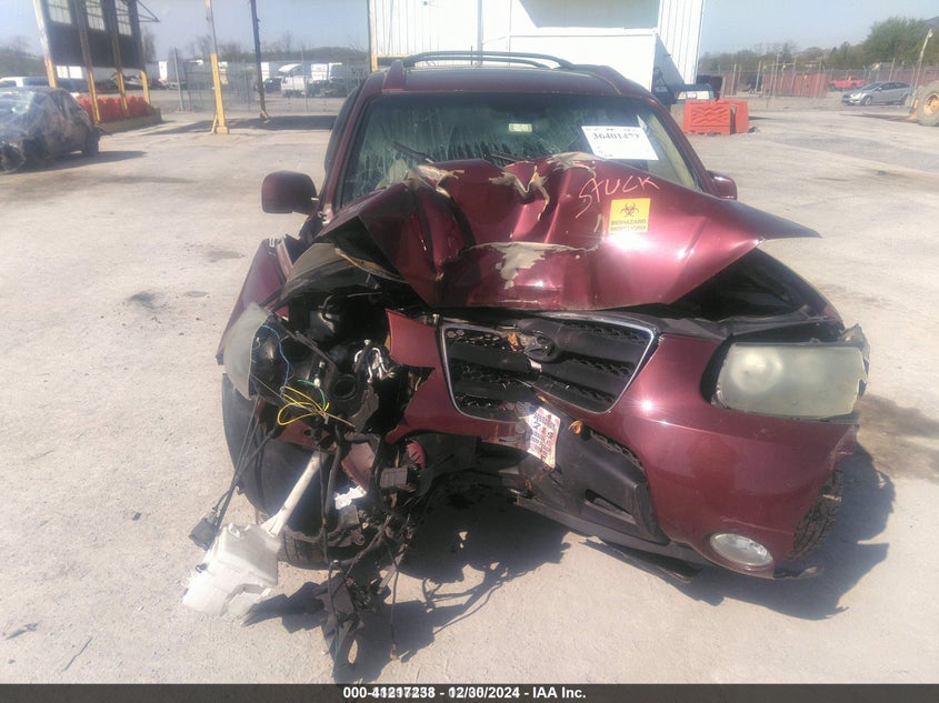 2009 Hyundai Santa Fe Se VIN: 5NMSH13E19H249287 Lot: 41217238