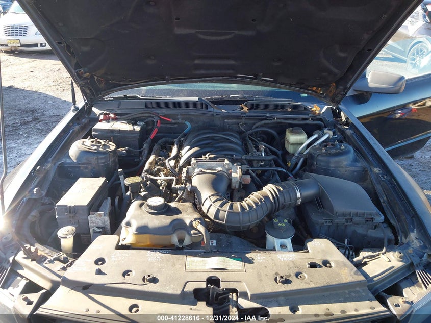 2007 FORD MUSTANG VIN: 1ZVFT82H975203935