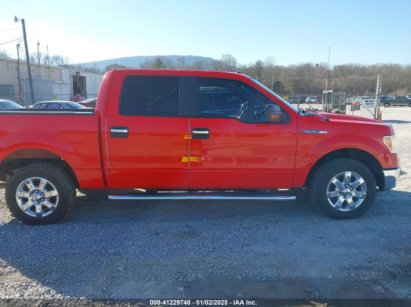 2013 FORD F-150 XLT - 1FTFW1CF9DFB41814