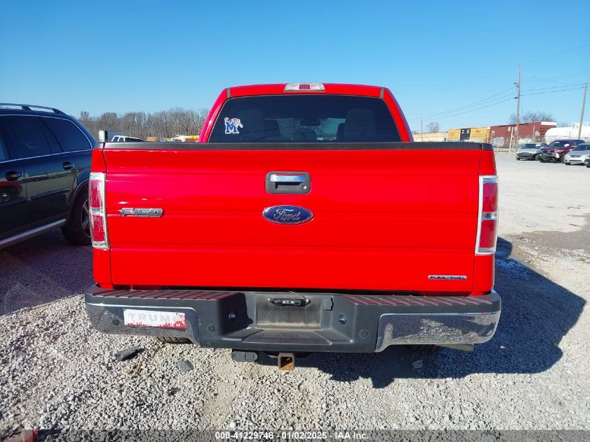 2013 FORD F-150 XLT - 1FTFW1CF9DFB41814