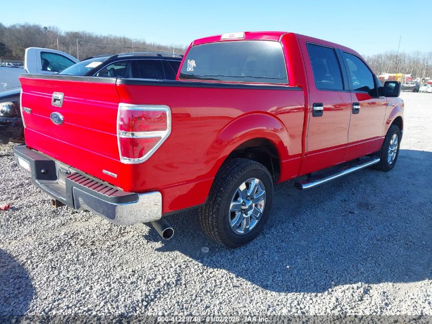 2013 FORD F-150 XLT - 1FTFW1CF9DFB41814