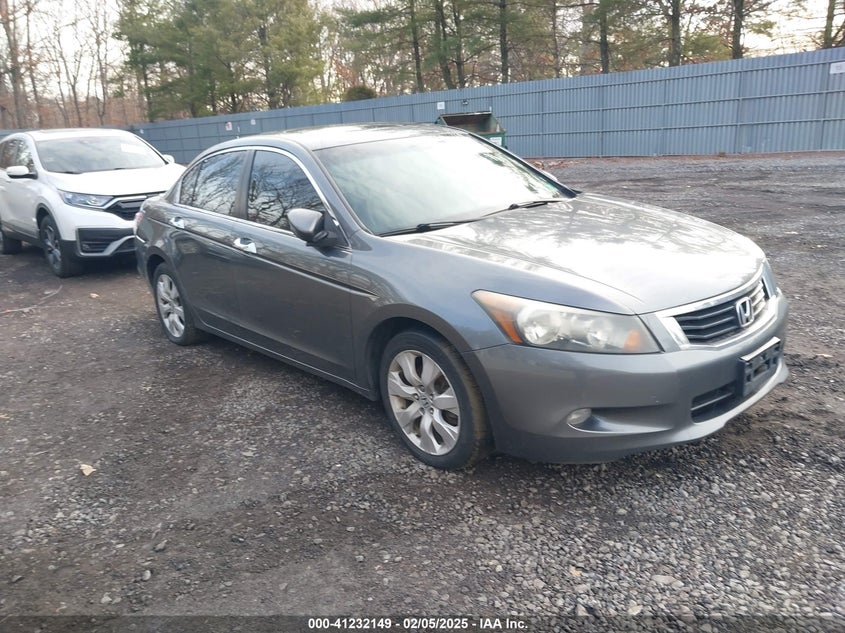 2010 HONDA ACCORD VIN: 1HGCP3F80AA028028
