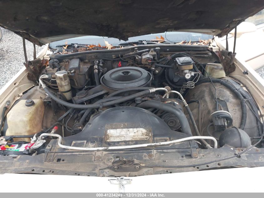 1988 Chevrolet Caprice Classic Brougham VIN: 1G1BU51H1JA116312 Lot: 41234249