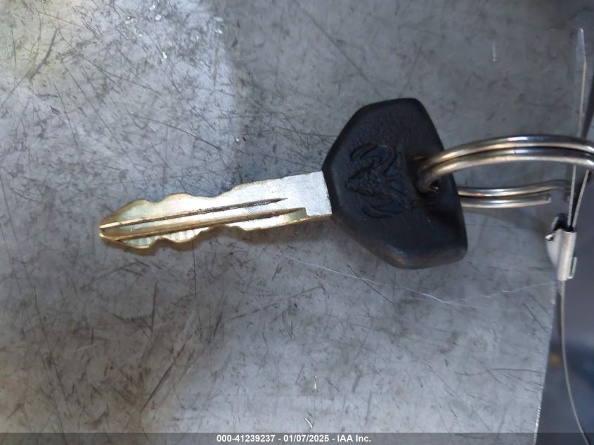 1999 Dodge Ram 1500 VIN: 3B78C12Y4XG190247 Lot: 41239237