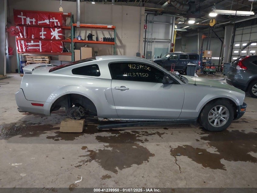 2006 FORD MUSTANG VIN: 1ZVFT80N065191049