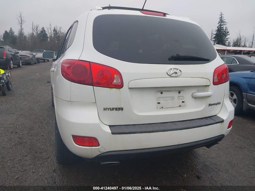 2007 HYUNDAI SANTA FE VIN: 5NMSG13D37H043847