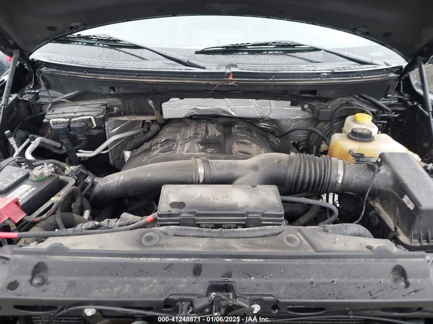 2013 FORD F150 VIN: 1FTFX1ET7DKF76502