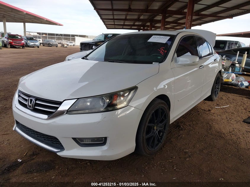 2013 HONDA ACCORD VIN: 1HGCR3F8XDA006407