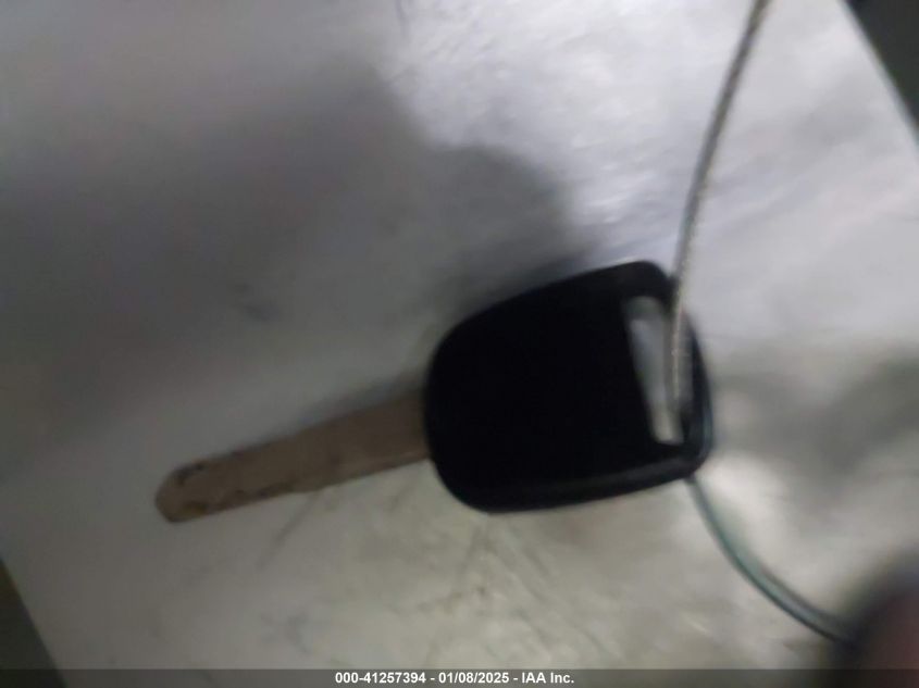 2003 Honda Odyssey Ex-L VIN: 5FNRL18943B065799 Lot: 41257394