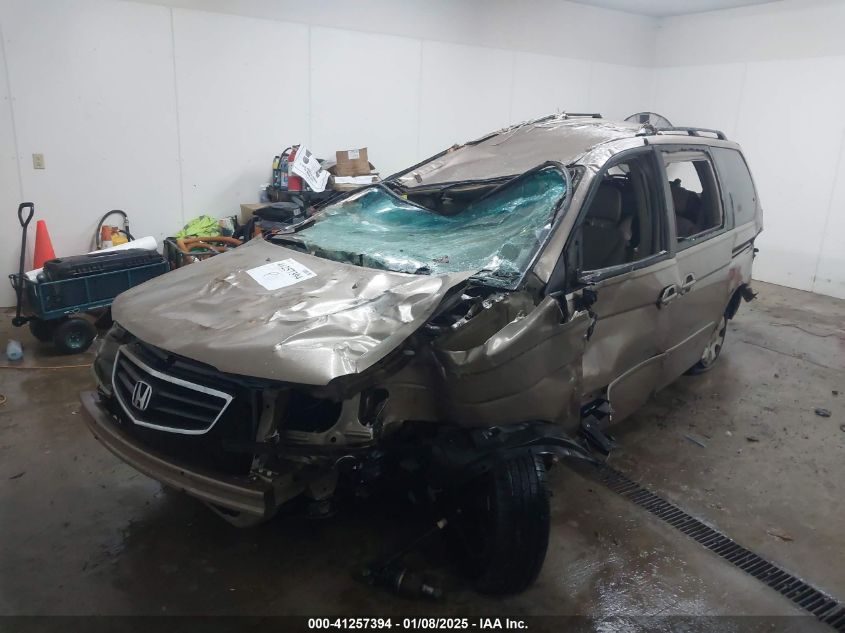 2003 Honda Odyssey Ex-L VIN: 5FNRL18943B065799 Lot: 41257394