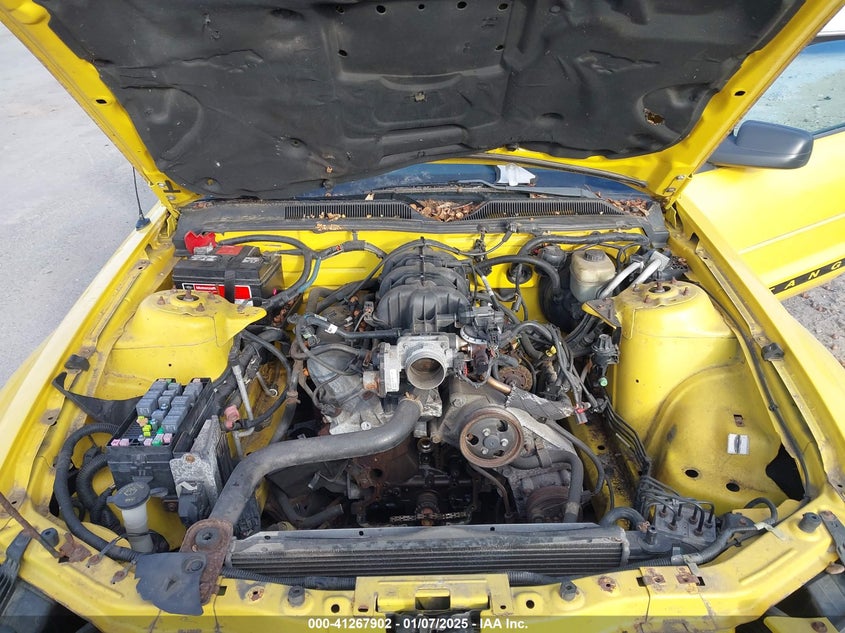 2006 FORD MUSTANG VIN: 1ZVFT80N965199215