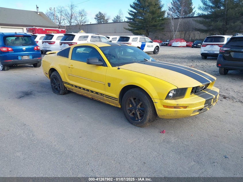 2006 FORD MUSTANG VIN: 1ZVFT80N965199215