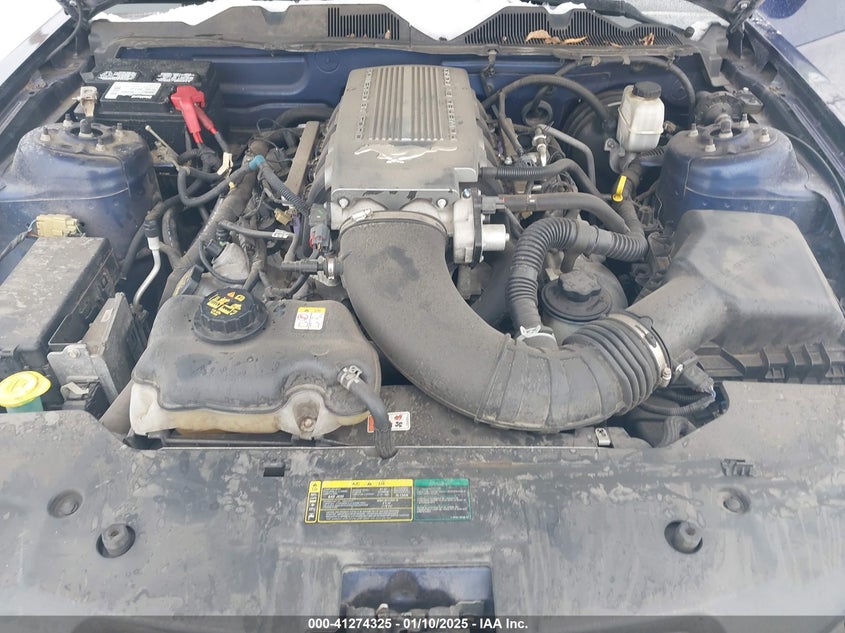 2010 FORD MUSTANG VIN: 1ZVBP8CH2A5176411