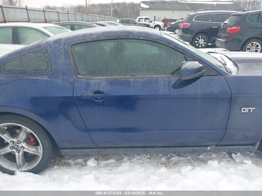 2010 FORD MUSTANG VIN: 1ZVBP8CH2A5176411