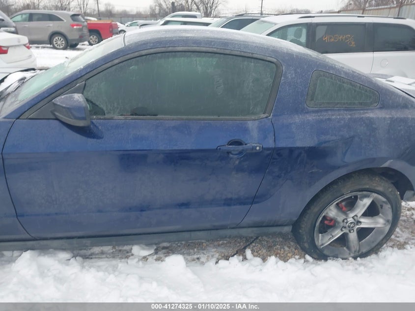 2010 FORD MUSTANG VIN: 1ZVBP8CH2A5176411
