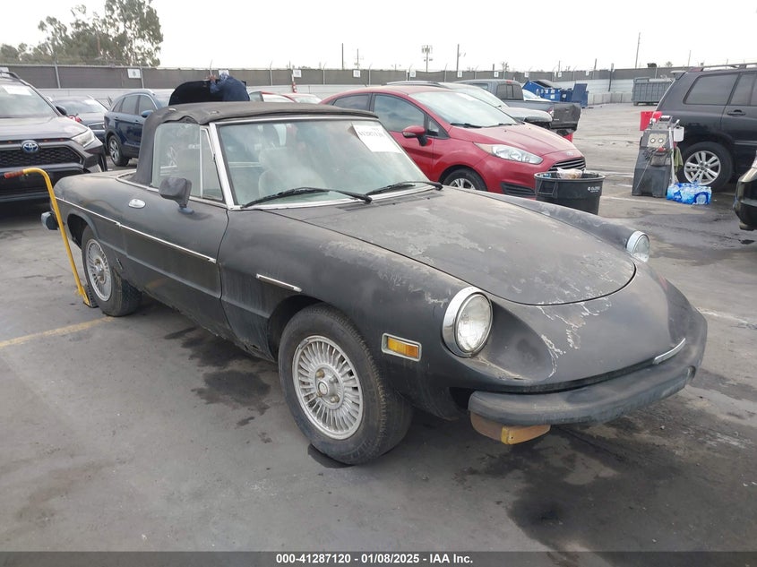 1979 ALFA ROMEO SPYDER VELOCE