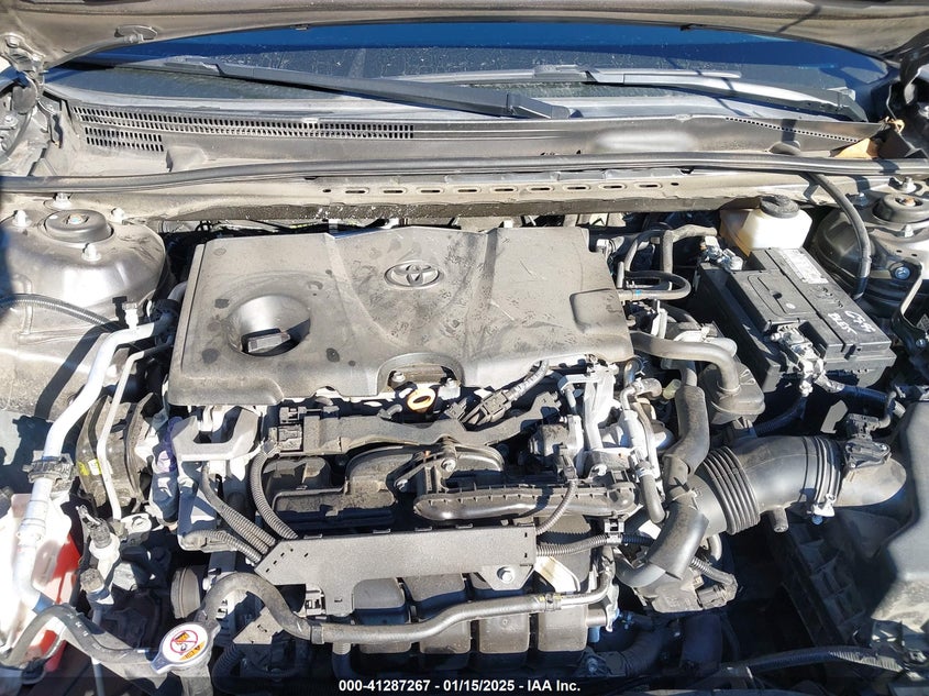 2019 TOYOTA CAMRY VIN: 4T1B11HK6KU725319