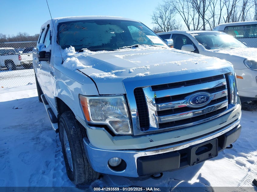 2011 FORD F-150 VIN: 1FTFW1EF4BKD86568