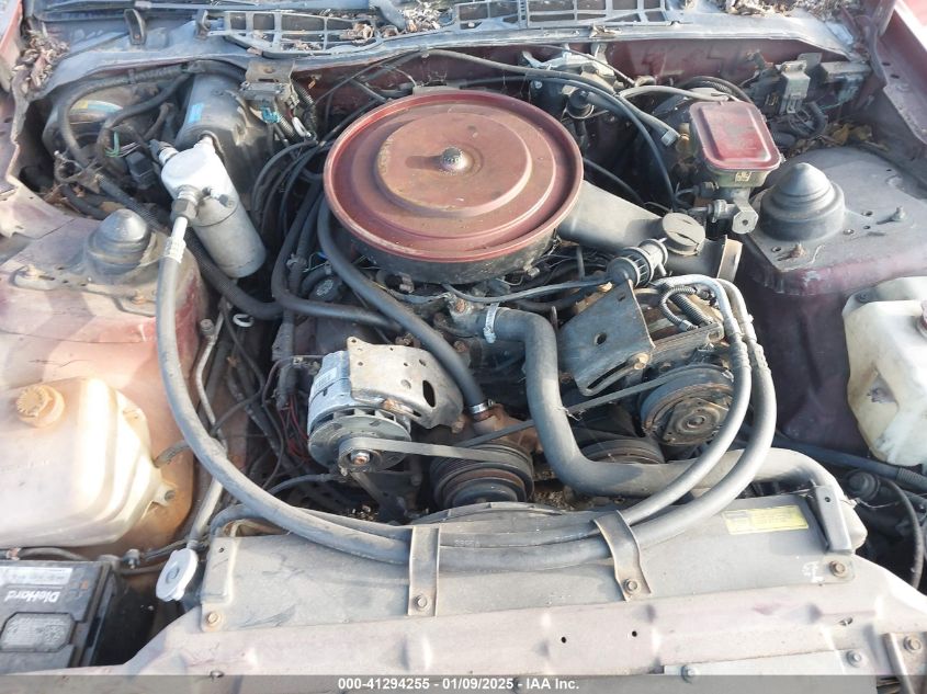 1985 Chevrolet Camaro VIN: 1G1FP87HXFL442512 Lot: 41294255