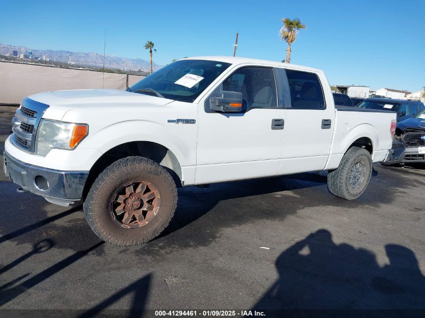 VIN 1FTFW1EF2DFA47240 2013 Ford F-150, Xlt no.14