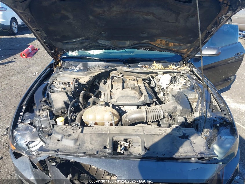 2019 FORD MUSTANG VIN: 1FA6P8TH6K5191442