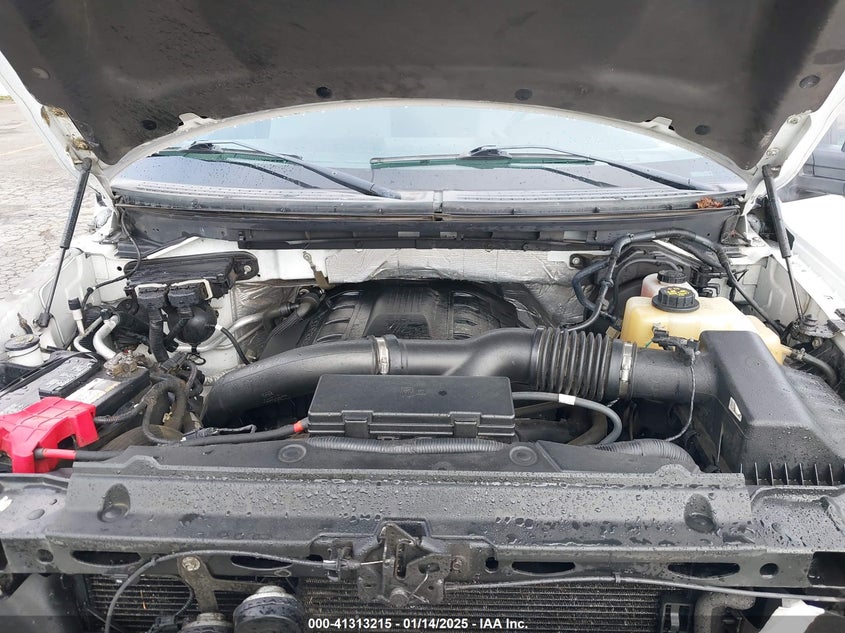 2012 FORD F-150 VIN: 1FTFX1ET7CKE37016
