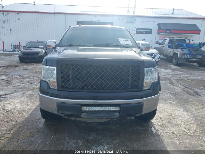 2013 FORD F-150 VIN: 1FTFW1EFXDKE73507