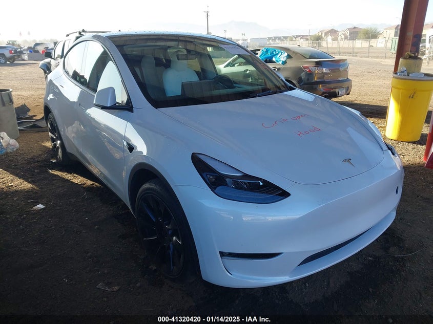 2023 TESLA MODEL Y  (VIN: 7SAYGDEEXPF691580)
