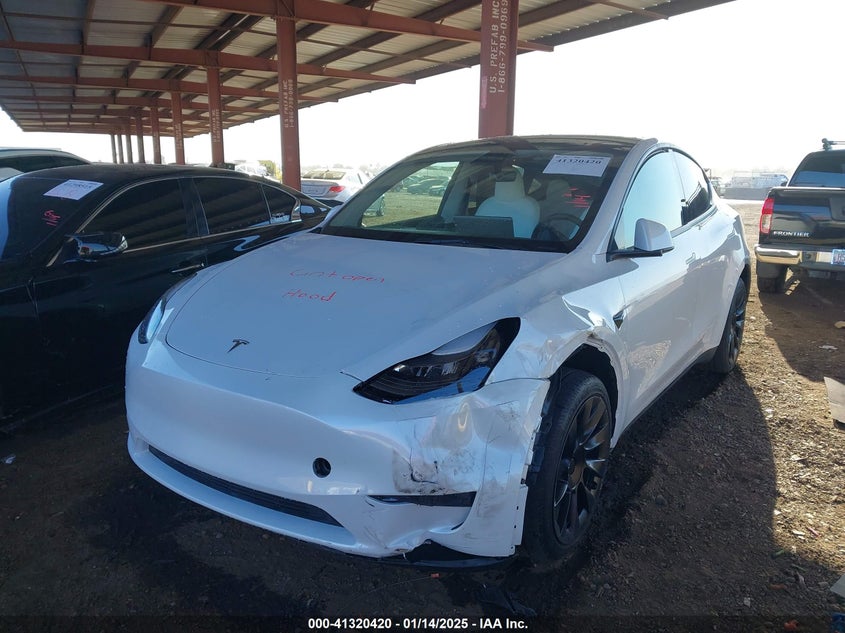 2023 TESLA MODEL Y(VIN: 7SAYGDEEXPF691580