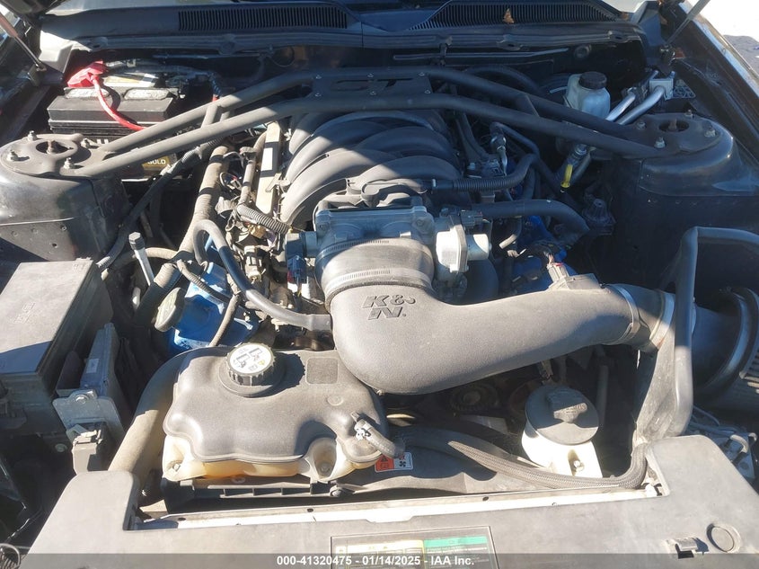 2009 Ford Mustang Gt/Gt Premium VIN: 1ZVHT82H795123500 Lot: 41320475