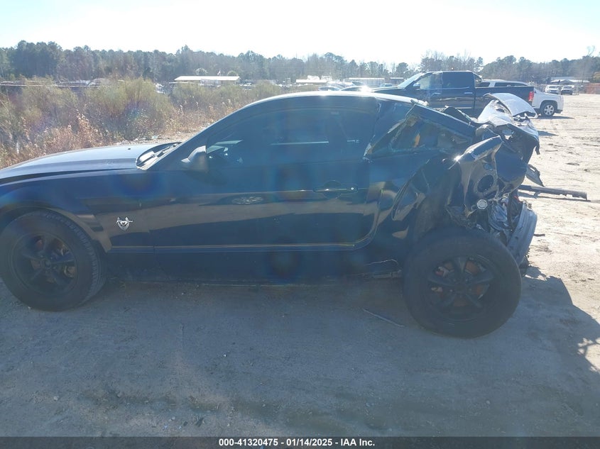 2009 Ford Mustang Gt/Gt Premium VIN: 1ZVHT82H795123500 Lot: 41320475