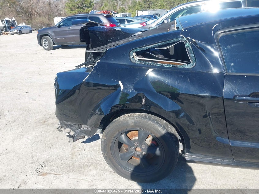 2009 Ford Mustang Gt/Gt Premium VIN: 1ZVHT82H795123500 Lot: 41320475