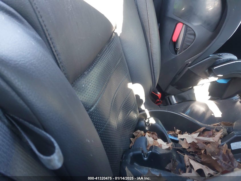 2009 Ford Mustang Gt/Gt Premium VIN: 1ZVHT82H795123500 Lot: 41320475