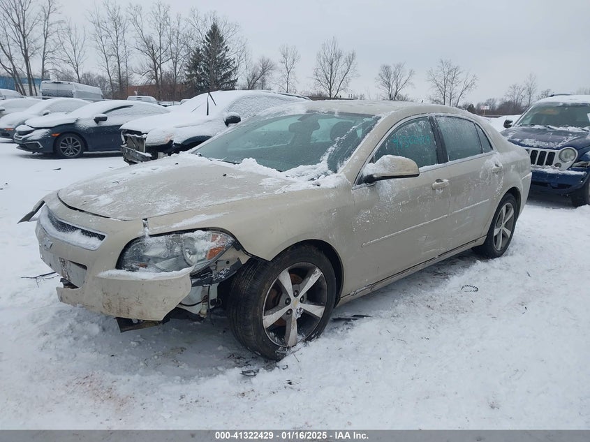 2011 CHEVROLET MALIBU VIN: 1G1ZC5E10BF196737