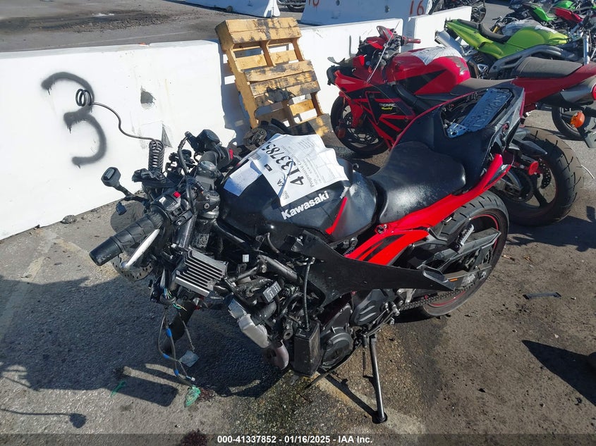 2024 KAWASAKI EX500 - ML5EXGG19RDA00994