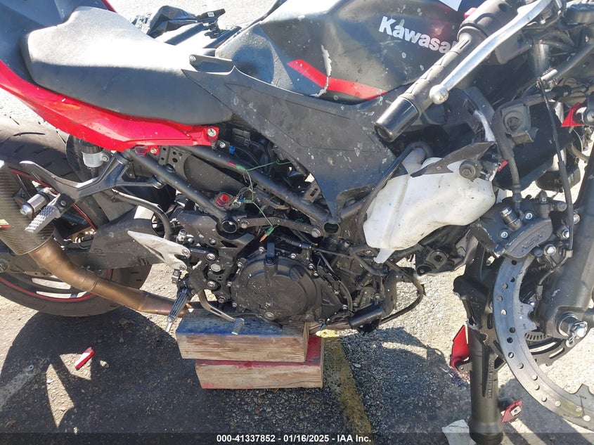 2024 KAWASAKI EX500 - ML5EXGG19RDA00994