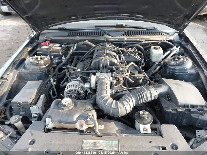 2007 FORD MUSTANG VIN: 1ZVFT80N275281742
