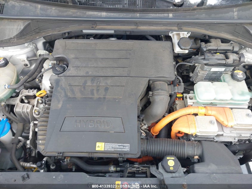 2019 KIA NIRO EX - KNDCC3LC1K5303984