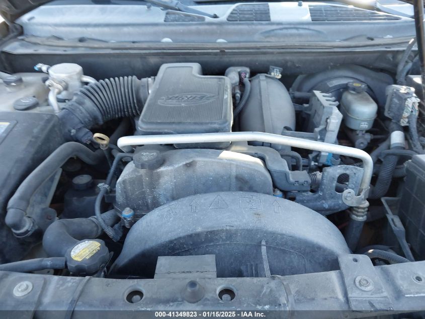 2007 Chevrolet Trailblazer Ls VIN: 1GNDT13S272251989 Lot: 43334635