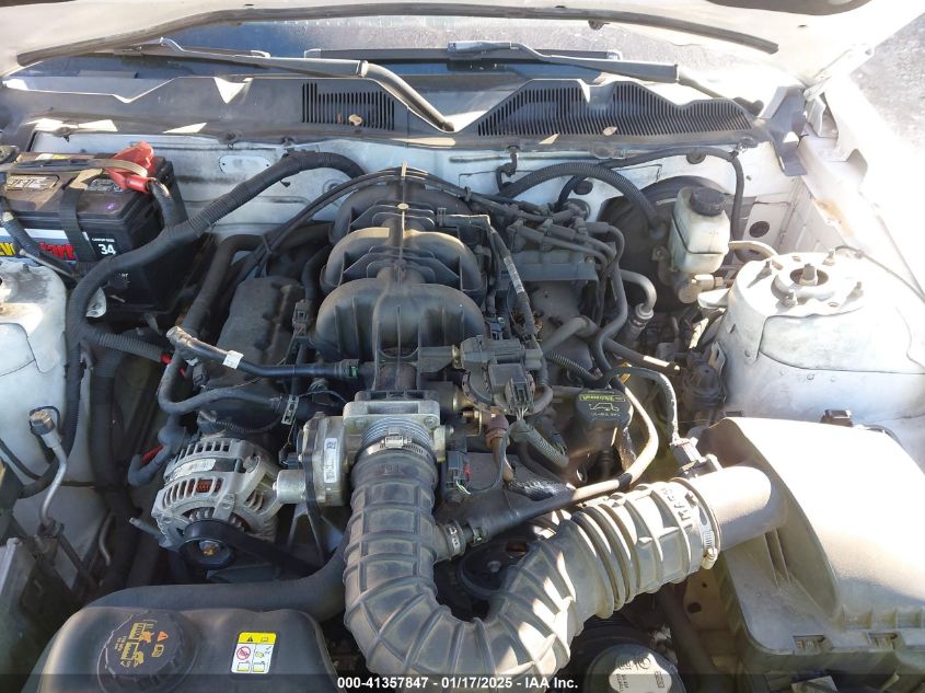 2010 Ford Mustang V6/V6 Premium VIN: 1ZVBP8AN2A5877717 Lot: 41357847