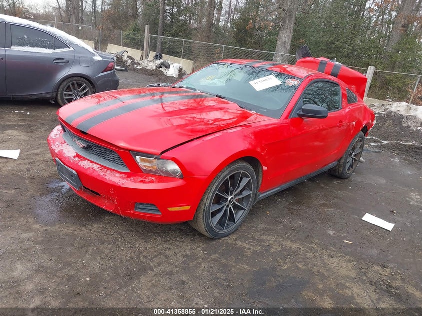 2011 FORD MUSTANG VIN: 1ZVBP8AM0B5168986