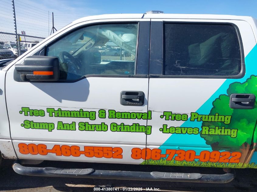 2009 Ford F-150 King Ranch/Lariat/Platinum/Xl/Xlt VIN: 1FTPW12V49FA61311 Lot: 41380741