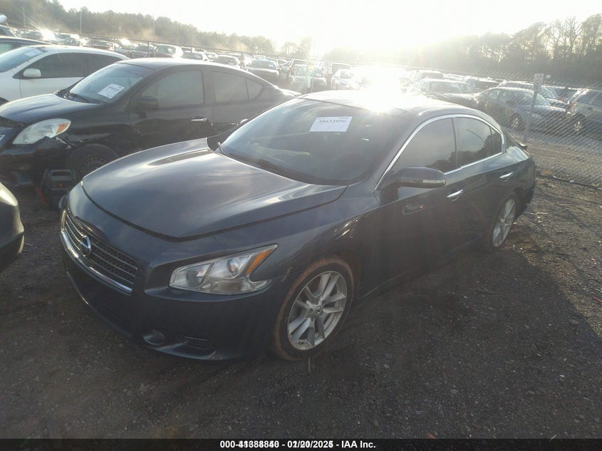 2010 NISSAN MAXIMA VIN: 1N4AA5AP7AC859182