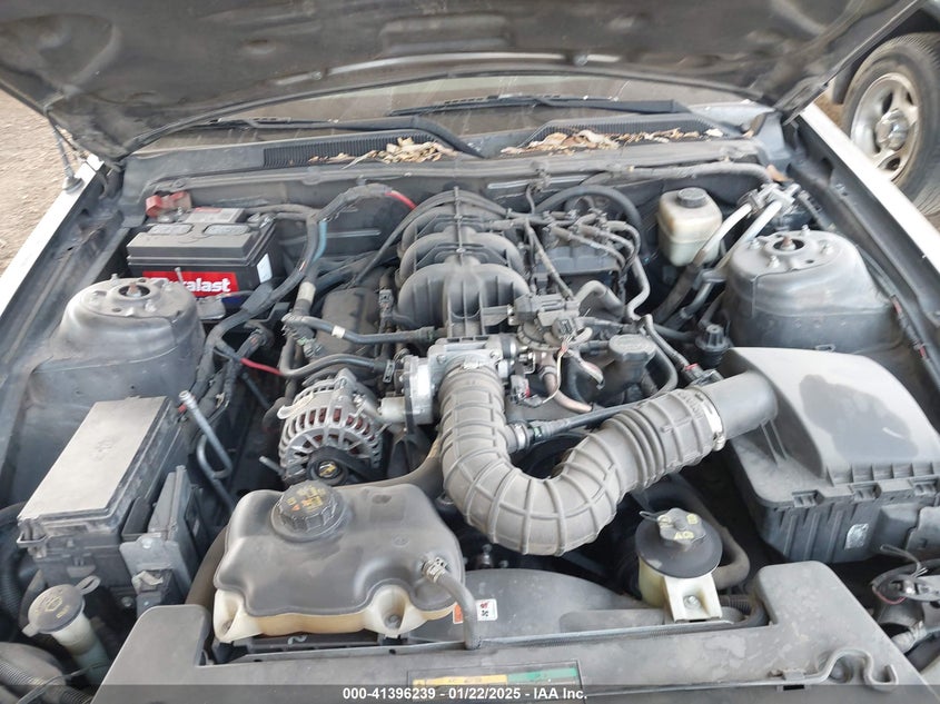 2007 FORD MUSTANG VIN: 1ZVFT84N875355207