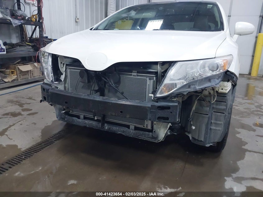 2010 TOYOTA VENZA VIN: 4T3BK3BB3AU040203