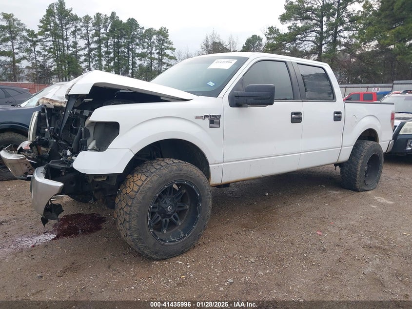 2013 FORD F-150 VIN: 1FTFW1EF8DKG07320